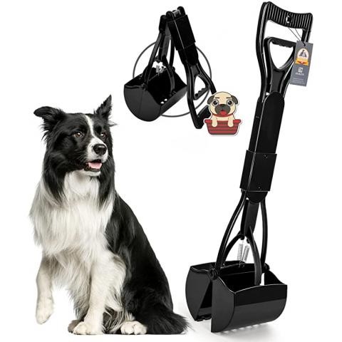 Pet Supplies