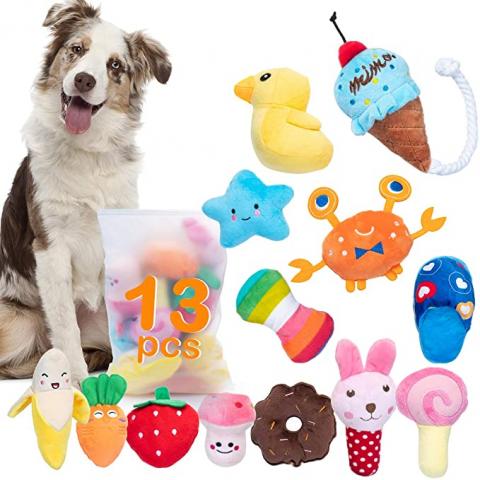 Pet Supplies