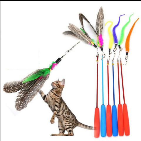 Pet Supplies
